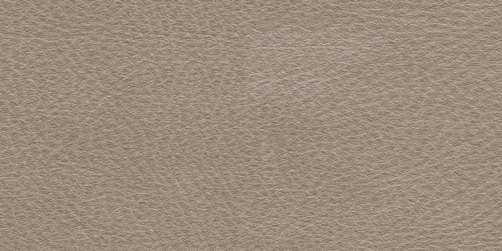 Stylish Coverstyl NE42 Caramel Leather Paint 3D Model