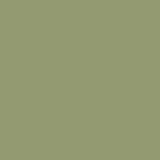 Green Paint 3D Model for Fresh Interiors