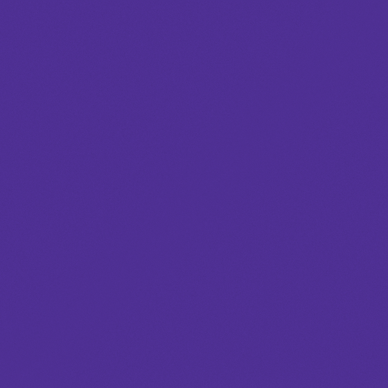 Fiolet Wall Paint in Various Shades