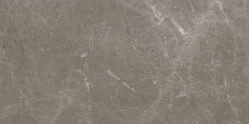 Deep Coffee Web-Patterned Marble 1500*750 in Beige