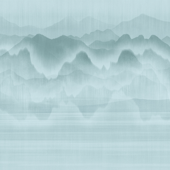 DG8011-B Texture