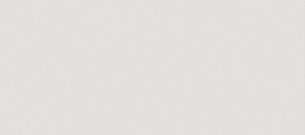 FG25502S Texture
