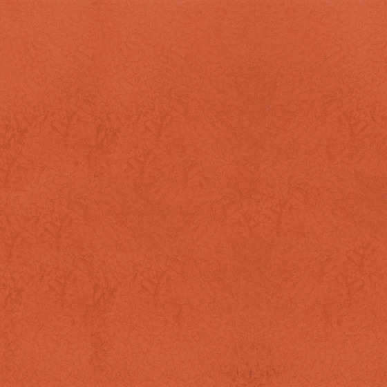 Modern Paint Palette,orange