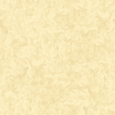 塔尔菲-香槟色-2