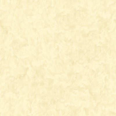 塔尔菲-香槟色-3