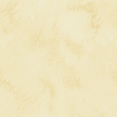 威罗艺术涂料-纳克斯NAA27