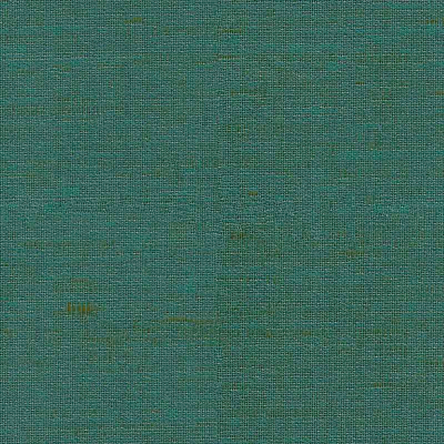 志达家居-素色墙布-WK19201-5C 