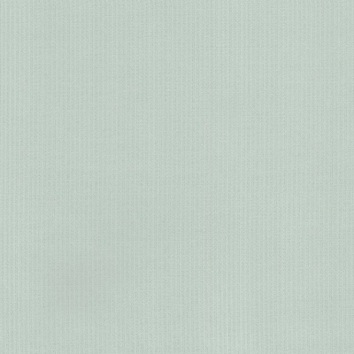 志达家居-素色墙布-WK20106-2C