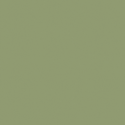 欧雅-法西诺-欧雅109-EWCCN1101