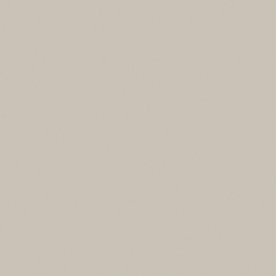 金米龙-纯色-CKB105 浅灰-墙板 柜门板-1220*2745mm