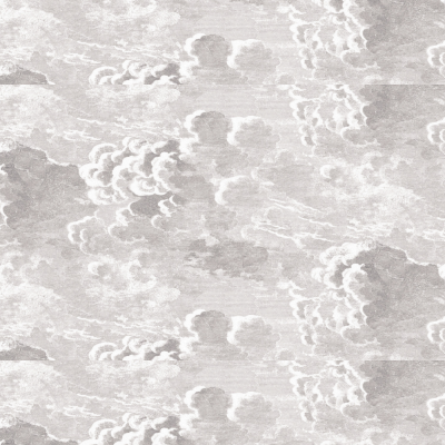 甲壳虫壁画现代乌云BT0165K-D墙纸墙布