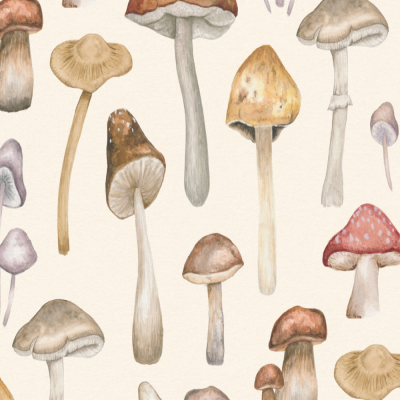 真菌卧室背景墙壁纸【艾莎壁画】esia.taobao.com