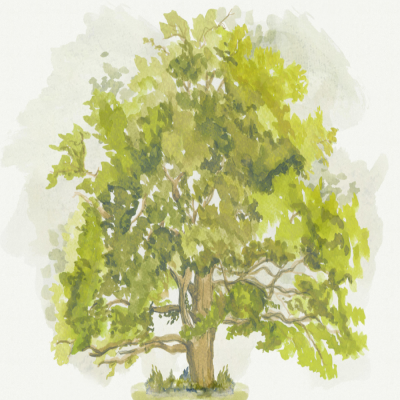 夏叶卧室背景墙壁纸【艾莎壁画】esia.taobao.com