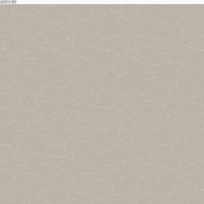 G87019-005